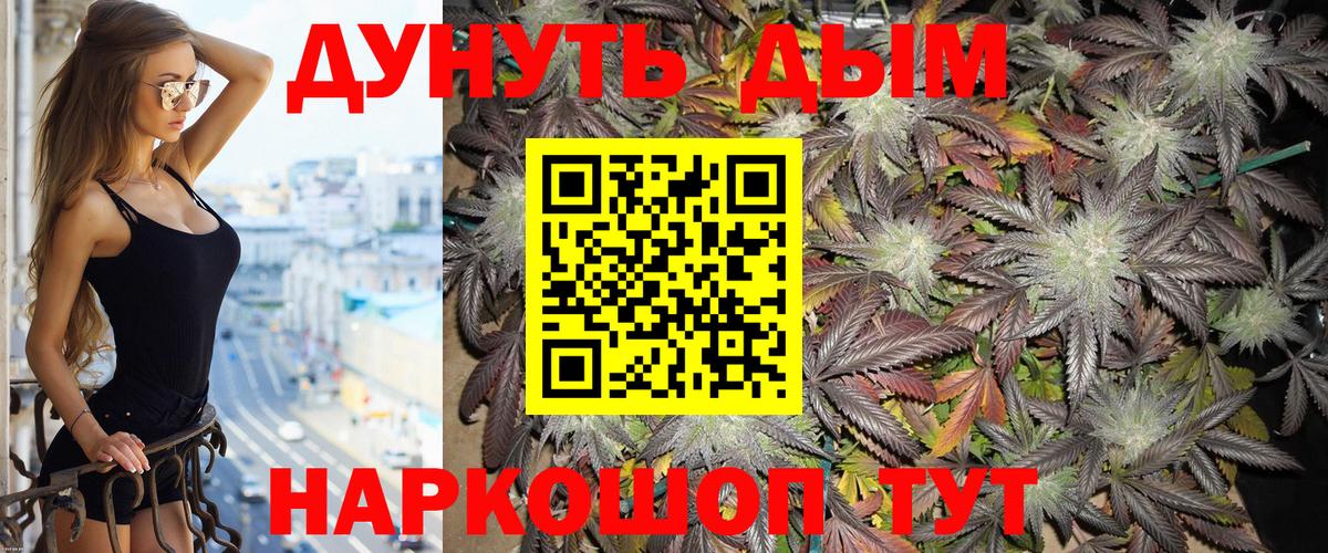 Конопля индика Кушва